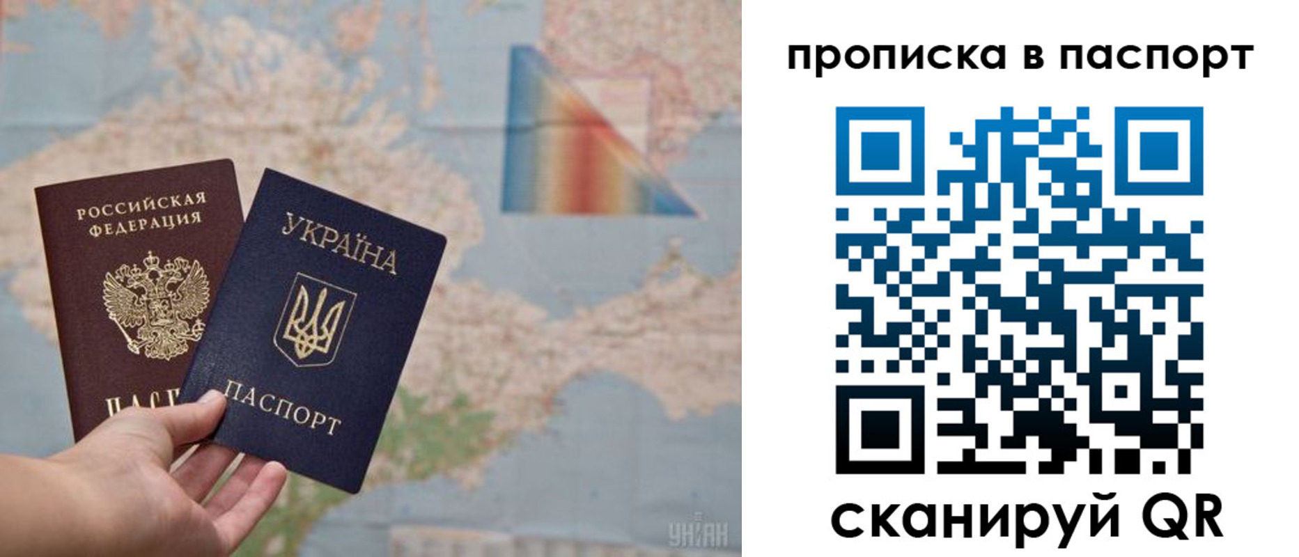 прописка поиск в Благовещенске